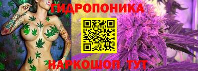 прущая мука Гусев